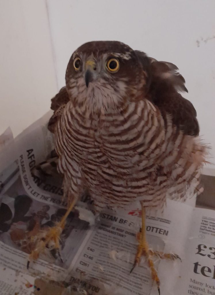 Contact Lower Moss Wood